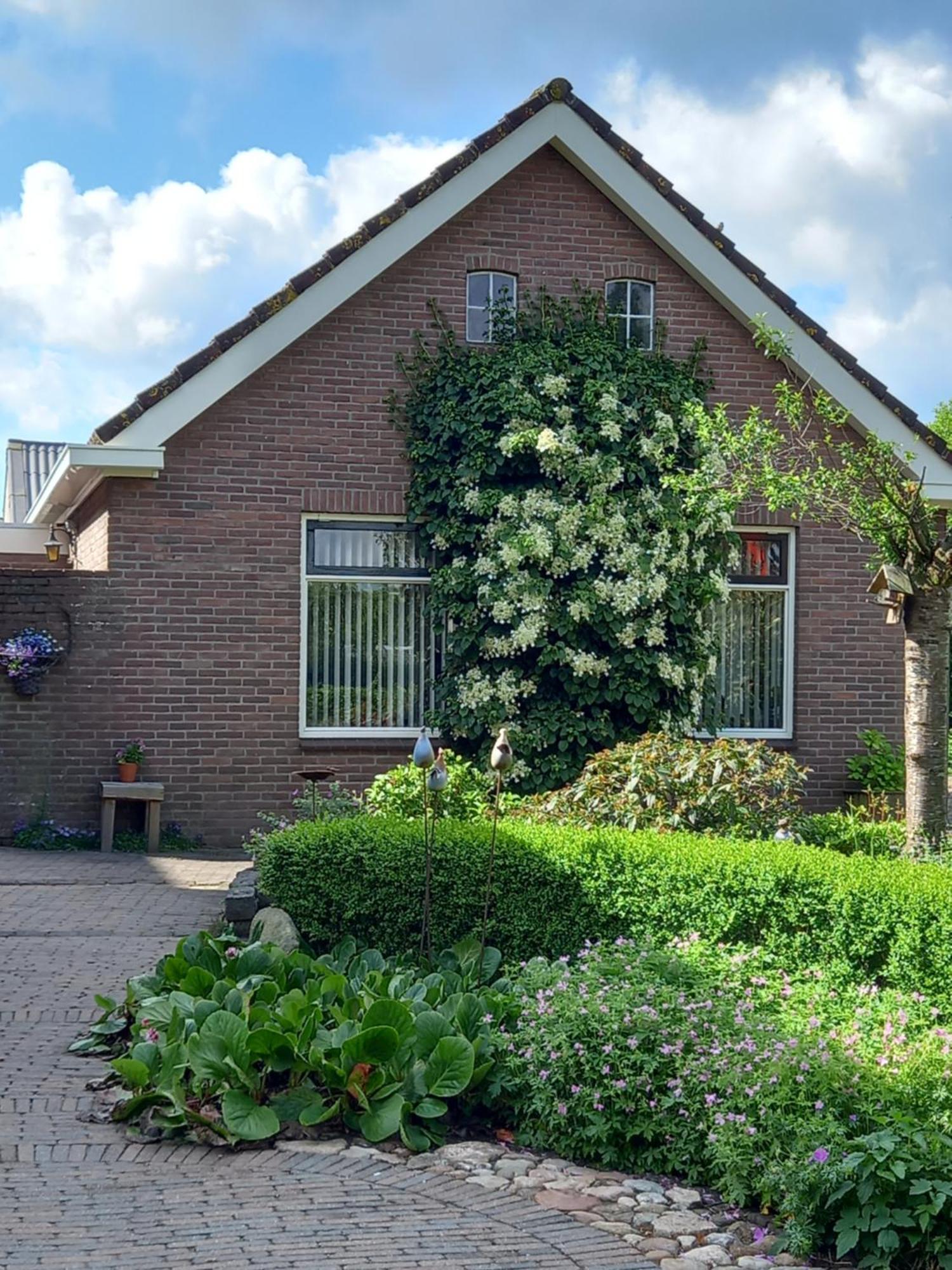 B&B Kleintje Eleveld Exterior foto